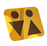 Spiegelglas Acryl WC Schild modern Gold